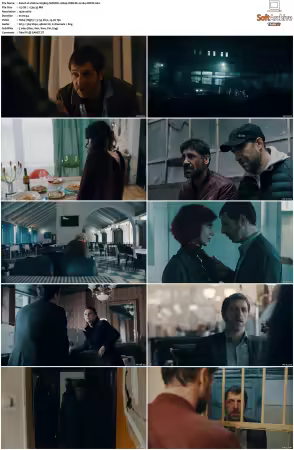 Umbre 2014 S01 S03 1080p HBO WEB-DL x265 x264 Romanian MIXED
