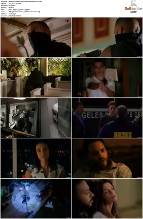 Graceland S01 S03 1080p WEB h264-NiXON