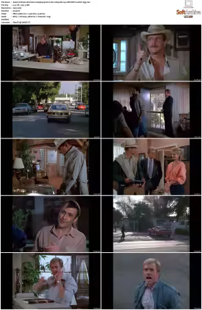 Simon and Simon S01-S08 1080p Blu-ray 10Bit DDP2.0 HEVC-d3g