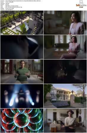 Bling Ring Hollywood Heist S01 2022 Complete 1080p Netflix WEB-DL AVC DDP 5.1-DBTV