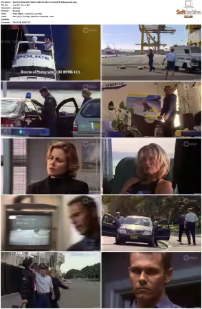 Water Rats S01-S06 WEB-DL AAC2.0 H264-BTN