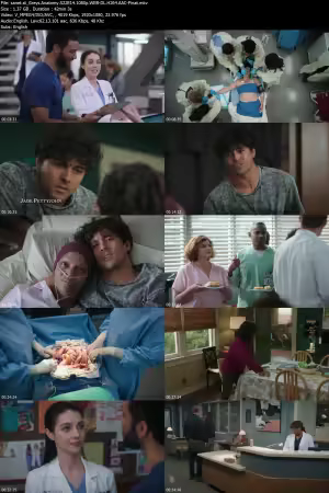 Greys Anatomy S22E14 1080p WEB-DL H264 AAC-Finat