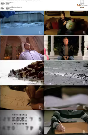 Weird Or What S01 S03 1080p WEB-DL DDP5.1 H264-squalor