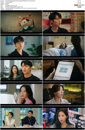 My Dearest Nemesis S01 1080p VIKI WEB-DL AAC2.0 H264-SiGLA