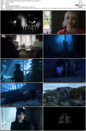 Wednesday S02 2160p NF WEB-DL DDP5 1 Atmos H265-XEBEC