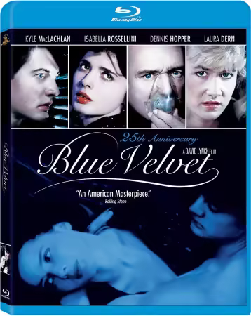 Blue Velvet 1986 BluRay 1080p x265 -SSDSSE