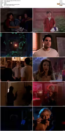Walker Texas Ranger S01-S09 DVDRip XviD-Mixed