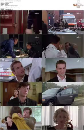 Kommissar Rex S01-S10 German 1080p HDTV x264-OMGtv