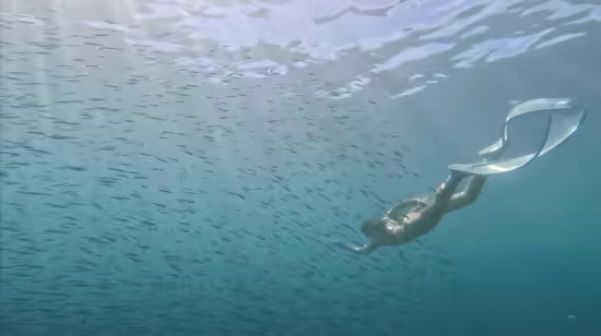 Visualisation for Freediving