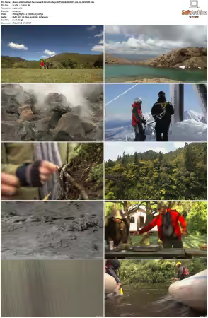 Wild About New Zealand S01 1080p MGTV WEB-DL DDP2.0 H264-DEVOUR