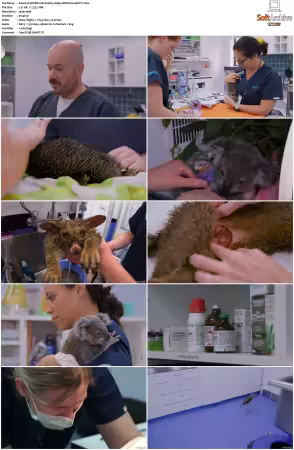 Wildlife ER S01S02 1080p WEB h264-BETTY