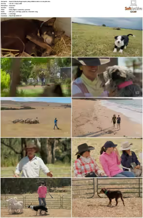 Muster Dogs S04 1080p WEB-DL AAC2.0 H264-WH