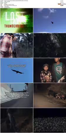 Lost Tapes S01 S03 1080p DSCP WEB-DL DDP2.0 H264-FFG