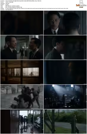 The Man in the High Castle 2015 S01 S04 1080p AMZN Webrip DDP5.1 x265-Vialle