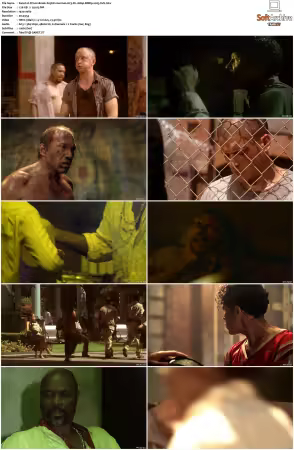 Prison Break S01-S05 German AC3 DL 1080p BDRip x265-FuN