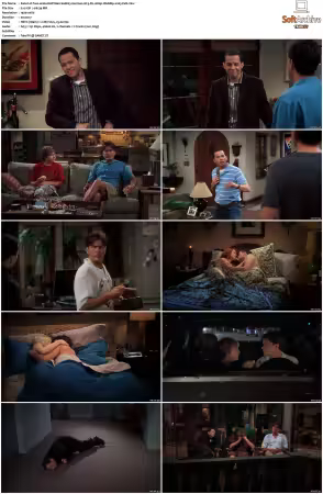 Two And A Half Men S01-S12 German AC3 DL 1080p WebRip x265-Fun