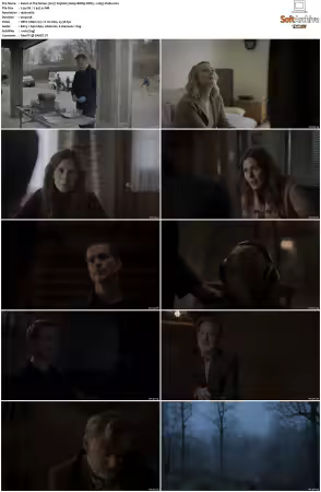 The Sinner 2017 S01 S04 1080p BDRip DDP5.1 x265-Vialle