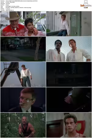 Avenging Force 1986 REMASTERED German DL 1080p BluRay x264-TM