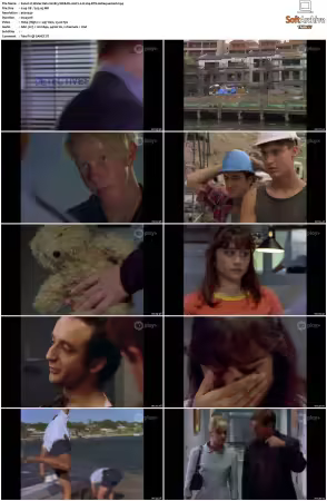 Water Rats S01 S06 WEB-DL AAC2.0 H264-BTN