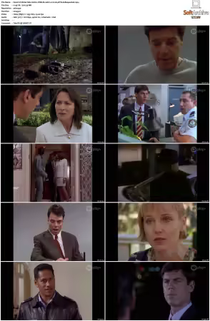 Water Rats S01 S06 WEB-DL AAC2.0 H264-BTN