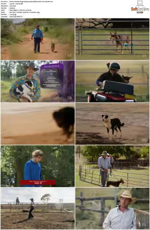 Muster Dogs S04 1080p WEB-DL AAC2.0 H264-WH