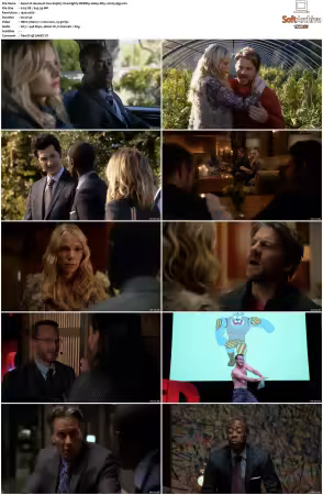 House of Lies S01 S05 WEBRip 1080p DD5.1 H265-d3g