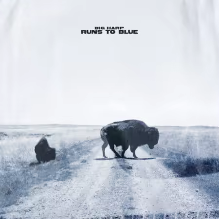 Big Harp - Runs to Blue (2026) (Hi-Res) FLAC/MP3