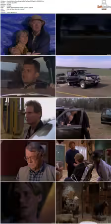 Walker Texas Ranger S01-S09 DVDRip XviD-Mixed