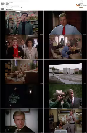 Simon and Simon S01-S08 1080p Blu-ray 10Bit DDP2.0 HEVC-d3g