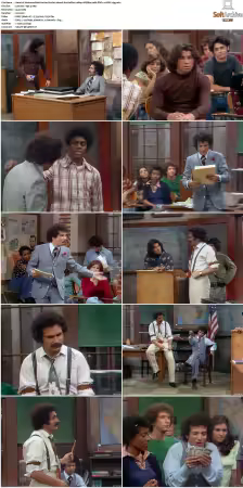 Welcome Back Kotter S01 S04 1080p WEBRip 10Bit DDP2.0 HEVC-d3g