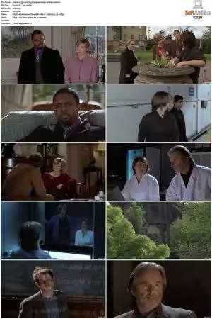Waking The Dead S01 S09 DVDRip XviD-Mixed