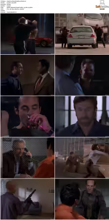 Walker Texas Ranger S01-S09 DVDRip XviD-Mixed