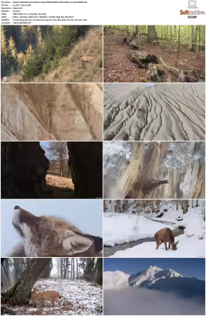 Wild Romania S01 2160p HMAX WEB-DL HEVC DDP5.1 H265-SPWEB