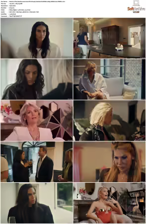 The Real Housewives Of Antwerp S02 FLEMISH 1080p WEB h264-TRIPEL