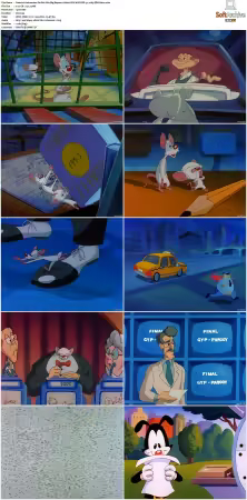 Animaniacs 1993 S01 S05 1080p UPSCALED DD 5.1 x265-EDGE2020