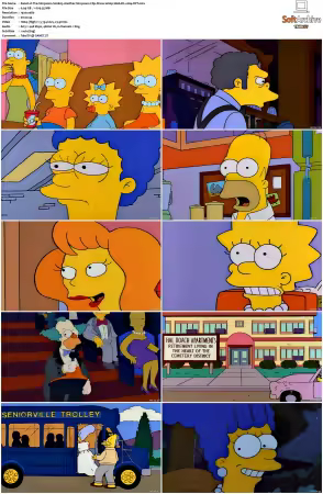 The Simpsons S06 1080p Web-DL x264-OFT