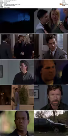 Walker Texas Ranger S01-S09 DVDRip XviD-Mixed