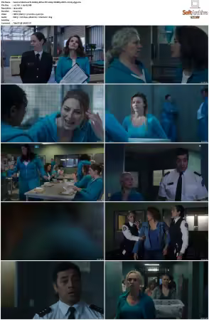 Wentworth S01-S09 1080p WEB h265-d3g