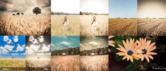 Grain It Up - Mobile &amp; Desktop Lightroom Presets