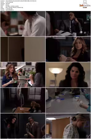Rizzoli and Isles 2010 S01-S07 1080p NF WEB-DL DDP5.1 AV1-Vialle