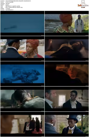 Washington Black S01 1080p HEVC x265-MeGusta