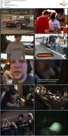 Viva La Bam 2003 S01 S05 DVD AAC H264 PiTBULL