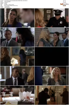 Rizzoli and Isles 2010 S01-S07 1080p NF WEB-DL DDP5.1 AV1-Vialle