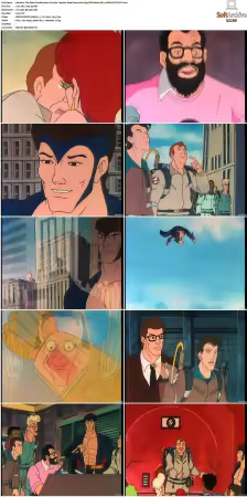 The Real Ghostbusters S01-S07 DVD REMUX-MIXED