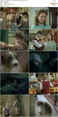 The Famous Five 1995 S01 S02 576p DVDRip DD2.0 x264-DS