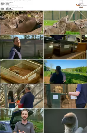 Animal Park S25 1080p iP WEB-DL AAC2.0 H264-AEK