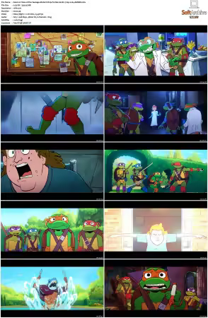 Tales of the Teenage Mutant Ninja Turtles S02 720p x264-AMBER