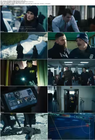 FBI S08E16 1080p WEB H264-ETHEL