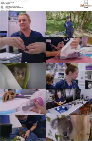 Wildlife ER S01S02 1080p WEB h264-BETTY
