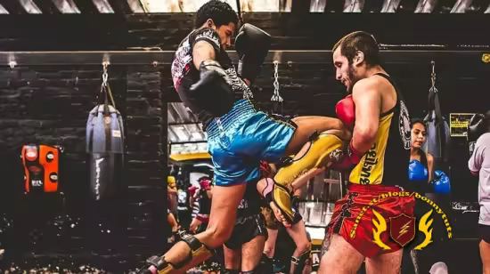 Ultimate Pro Shadow Boxing And MMA Certification Masterclass